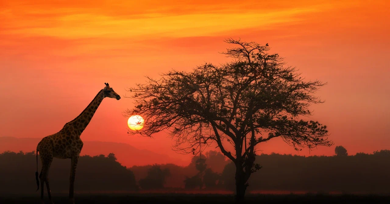 A First-Timer’s Guide to South Africa: What to Know Before You Go