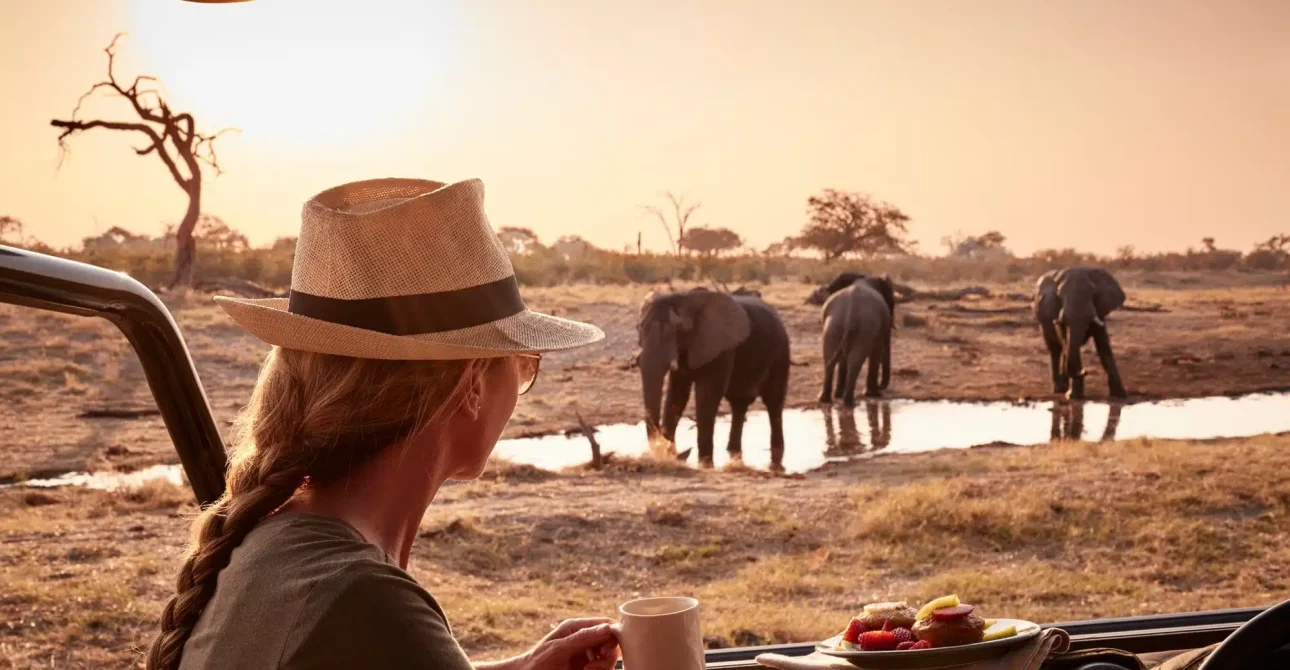 Top 10 Must-Visit Safari Destinations in South Africa for First-Time Travelers