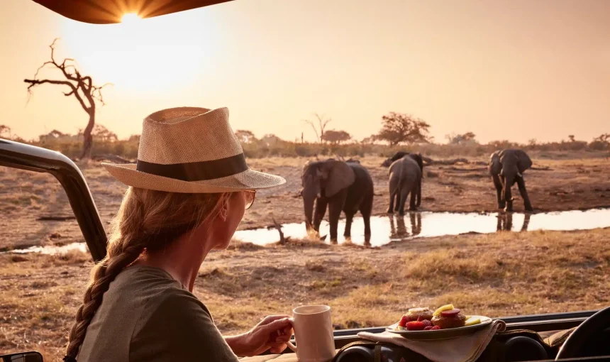 Top 10 Must-Visit Safari Destinations in South Africa for First-Time Travelers