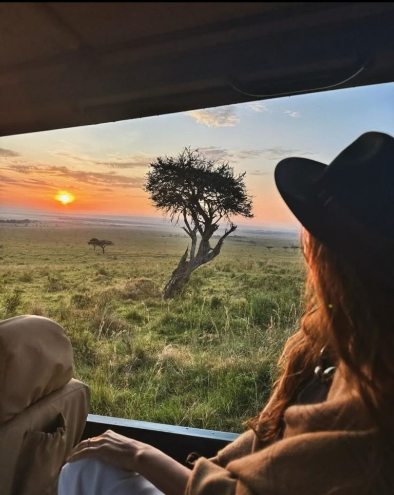 world africa travels explore africa like never before cape town travel experience sarafi tours african explore (64)